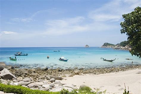 Visiter Koh Tao En Tha Lande Spots De Plong E Et Conseils