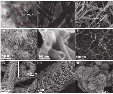 Tem And Sem Images Of Several Nanostructured Mno A The Mno