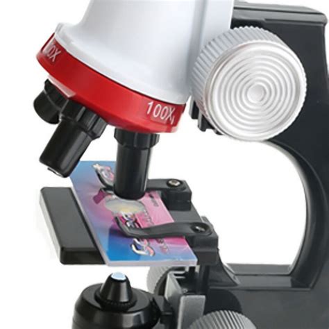 Kit De Microscopio Led De Laboratorio 100x 400x 12 Grandado