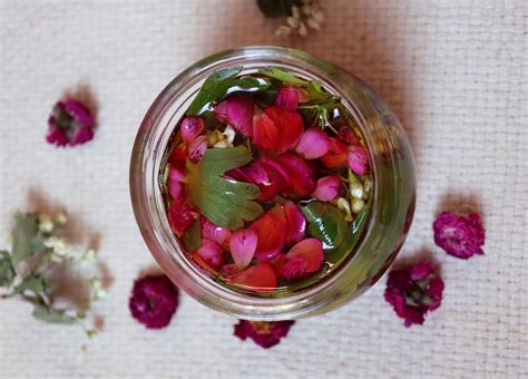 Réaliser un macérat huileux de plantes Jardin Alchimique