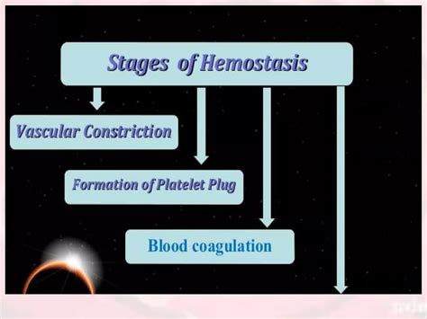 HEMOSTASIS /stages of hemostasis / Formation of platelet plug ...