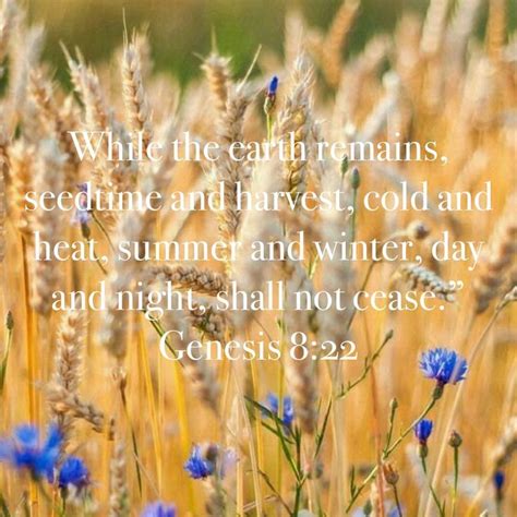 Genesis 8 22 While The Earth Remains Seedtime And Harvest Cold And Heat Summer And Winter