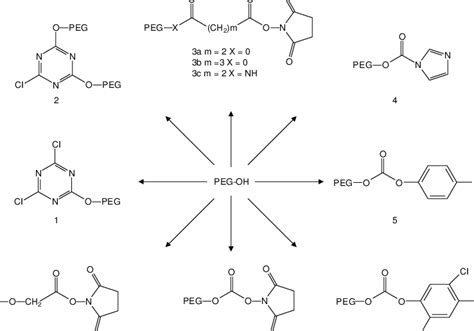 Method For The Activation Of Poly Ethylene Glycol [peg] Molecules Download Scientific Diagram