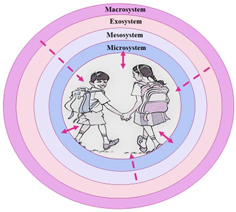 How The Bronfenbrenner Bio Ecological System Theory Explains The