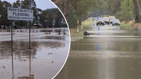 9news Latest News And Headlines From Australia And The World