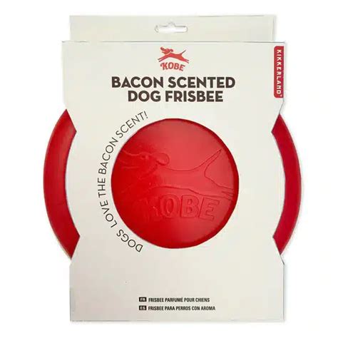 Frizbee Kong Pour Chien Senteur Bacon Kikkerland Le Savane C T D Co