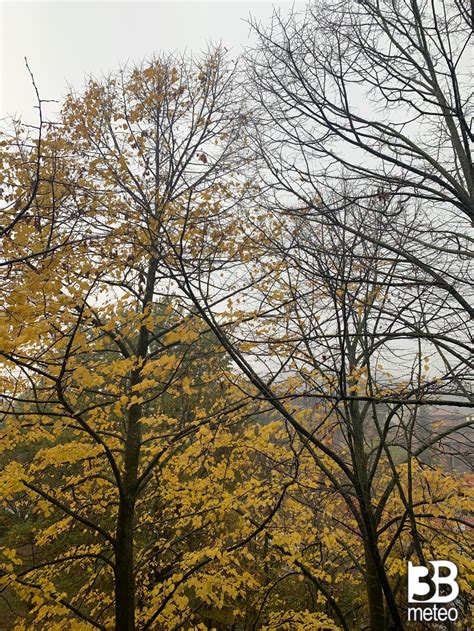 Foto Meteo Pioggia Debole Con Foschia B Meteo