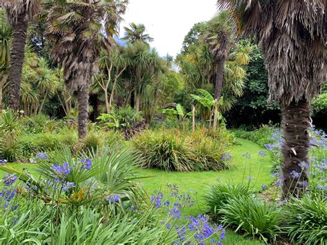 Visit The Garden Ventnor Botanic Garden