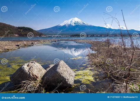 Reflection Of Fujisan Mountain In Spring Kawaguchiko Lake Japan Stock