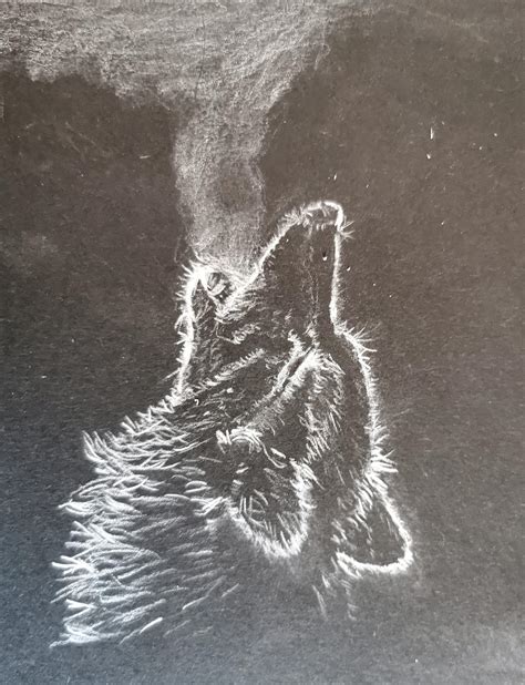 A lone wolf howling for his pack : drawing