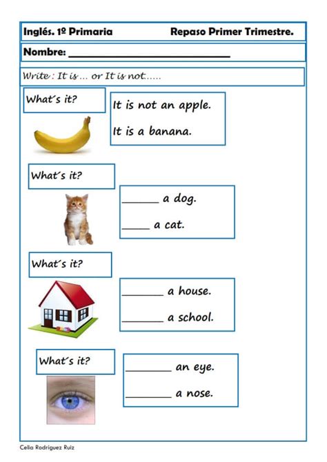 Fichas De Inglés Para Primero De Primaria