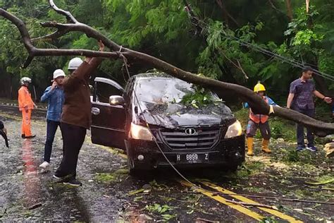 Longsor Dan Pohon Tumbang Landa Kota Semarang Usai Hujan Deras Dan