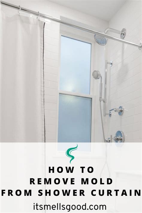 How To Remove Mold From Shower Curtain and Make It Fresh Again