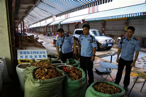 南宁海关成功破获一起中药材走私案，案值约2000万元 搜狐大视野 搜狐新闻