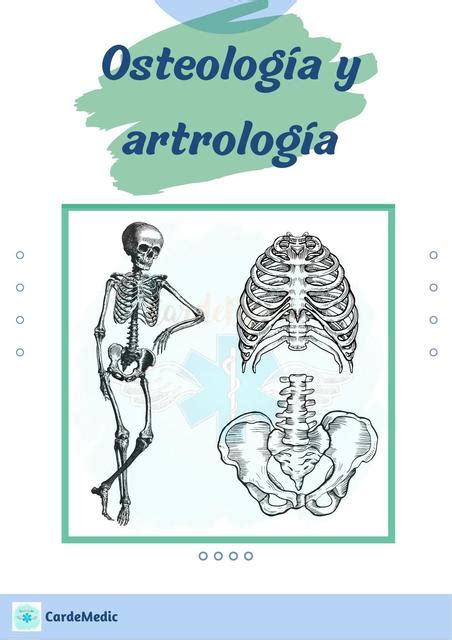 OsteologÍa Y ArtrologÍa Cardemedic Udocz