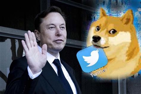 Elon Musk Replaces Twitters Blue Bird Logo With Doge Meme Newswire