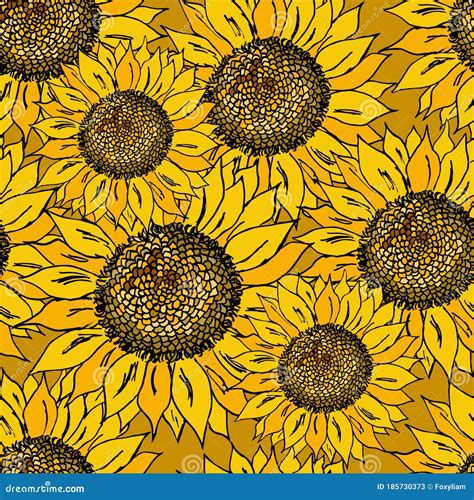 Vector Seamless Pattern With Sunflowers Stock Vector Illustration Of