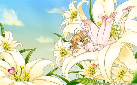 Hd Wallpaper Clamps Cardcaptor Sakura X Anime Card Captor