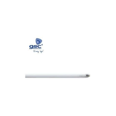 Tubo Fluorescente T Trifosforo W Luce Blanco Di Tubo Fluorescente