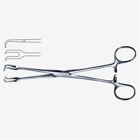 Museux Uterine Tenaculum Forceps Xelpov Surgical