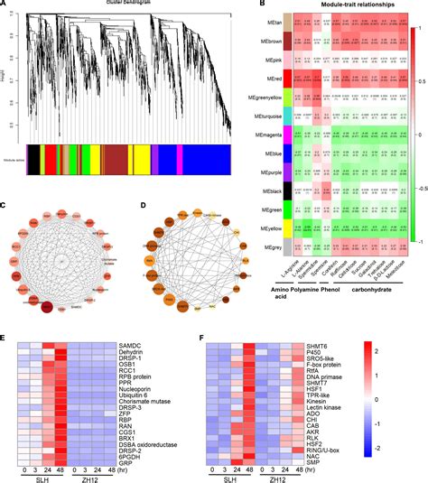 Frontiers Integrated Transcriptomics And Metabolomics Analysis Reveal