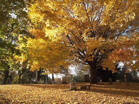 Franklin Cemetery In Franklin Michigan