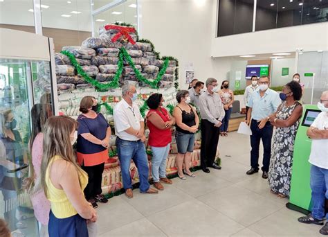 Árvore Solidária arrecada mais de 10 toneladas de alimentos