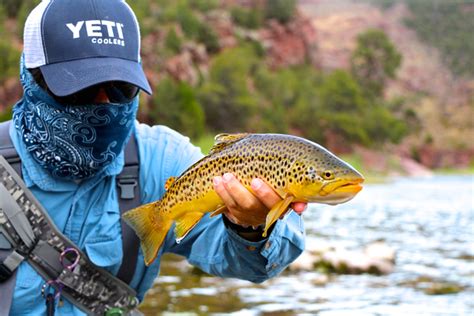 Trout Bum Of The Week Xviii Spencer Higa Orvis News