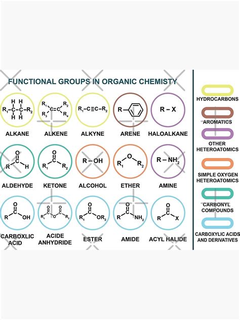 "Functional Groups In Organic Chemistry" Poster for Sale by ScienceCorner | Redbubble