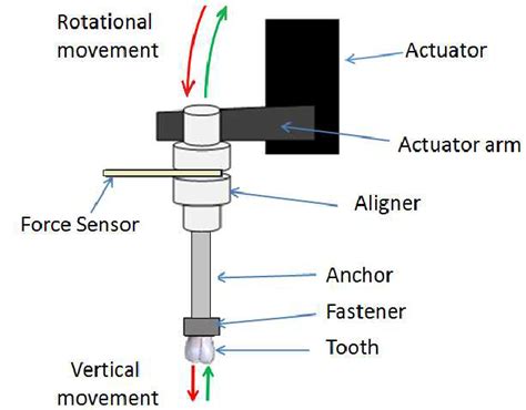 principle  force actuation  scientific diagram