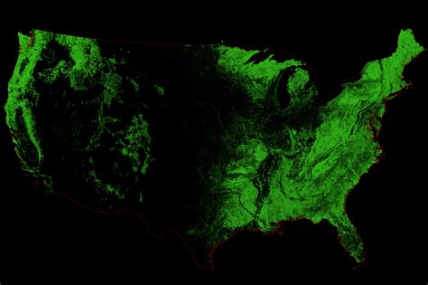 If There Were Only Trees: Maps Show World's Forests