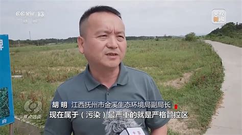 江西金溪千亩耕地被重金属污染，涉事企业：我们每年要交几千万的税，对当地有贡献