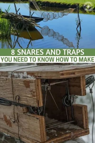 8 Snares And Traps You Need To Know How To Make Shtfpreparedness