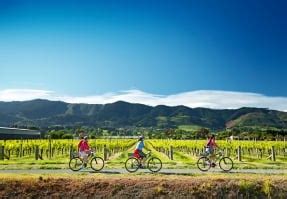 Guided Biking VBT Bicycling Vacations