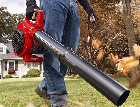 Your Leaf Blower Won’t Start : What's Wrong? How do You Fix It?