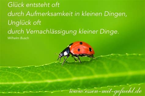 A Ladybug Sitting On Top Of A Green Leaf With A Quote Below It