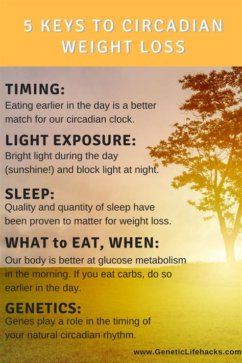 Circadian Rhythm Diet Weight Loss Meal Timing