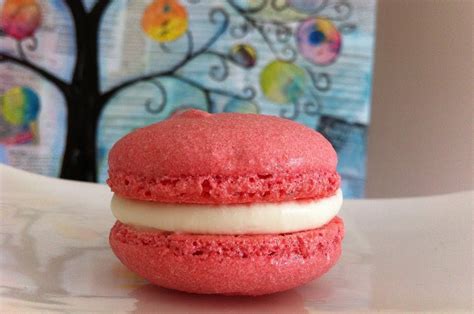 Easy Macaron Macaroon Recipe Recette How To Cook That Ann Reardon Via