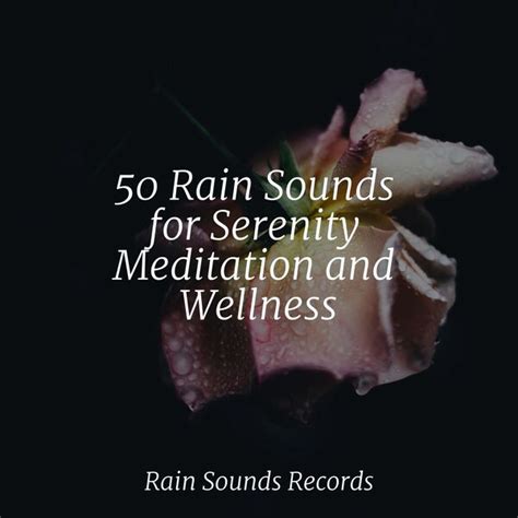 50 Rain Sounds For Serenity Meditation And Wellness Anxiety Relief Qobuz