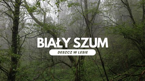 Biały szum deszcz w lesie dźwięki relaksacyjne 1h YouTube