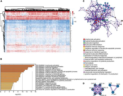 Frontiers Immune Cell Infiltration Based Characterization Of Triple