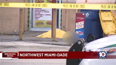 Detectives Investigate Fatal Shooting In Miami Dade Miami Dolphins News