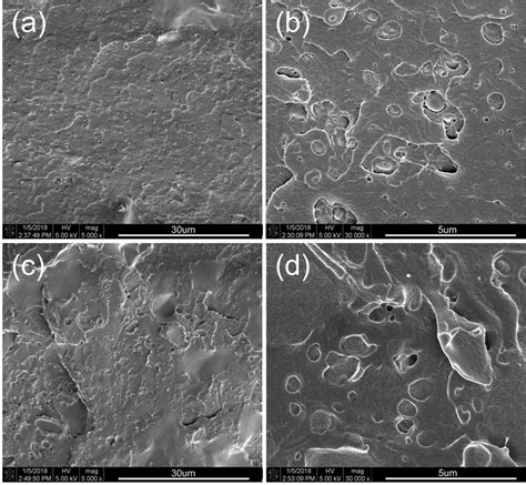 Sem Images Of Cryo Fractured Surfaces Of Peso A And B And Peso