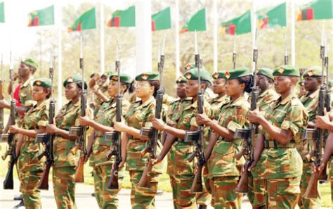 Zambia Army Recruitment 2024 How To Join Zambian Armed Forces