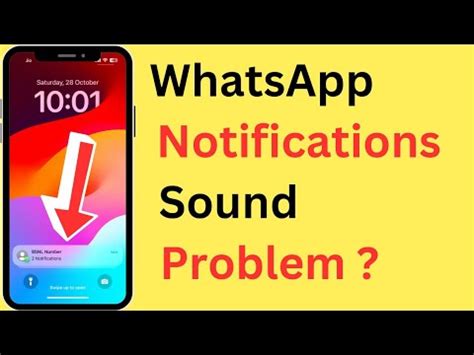 IPhone WhatsApp Notification Sound Not Working IPhone WhatsApp