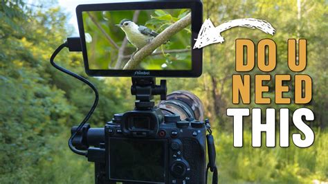 External Camera Monitor Screen for Bird and Wildlife Photography | DR ...