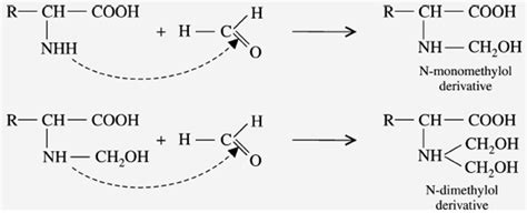 Physio Chemical Properties of amino acids