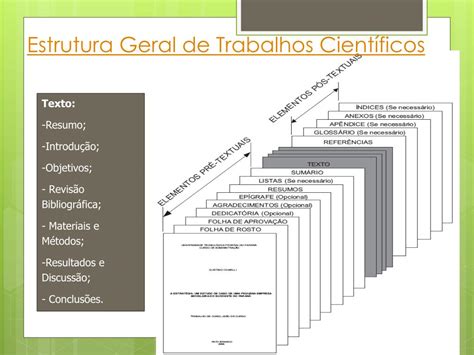 PPT Aula 5 Estrutura de geral trabalhos científicos TCC PowerPoint