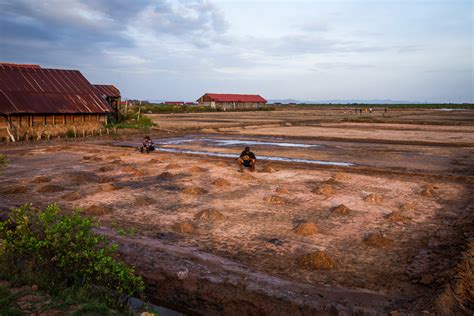 Salt Fields, Kampot: Everything You Should Know (2025) - Laure Wanders