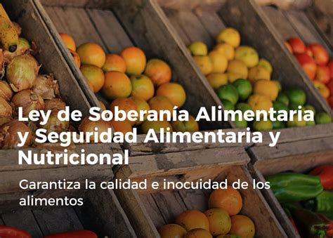 Entra en vigor en Cuba ley de soberanía alimentaria Cuba Si